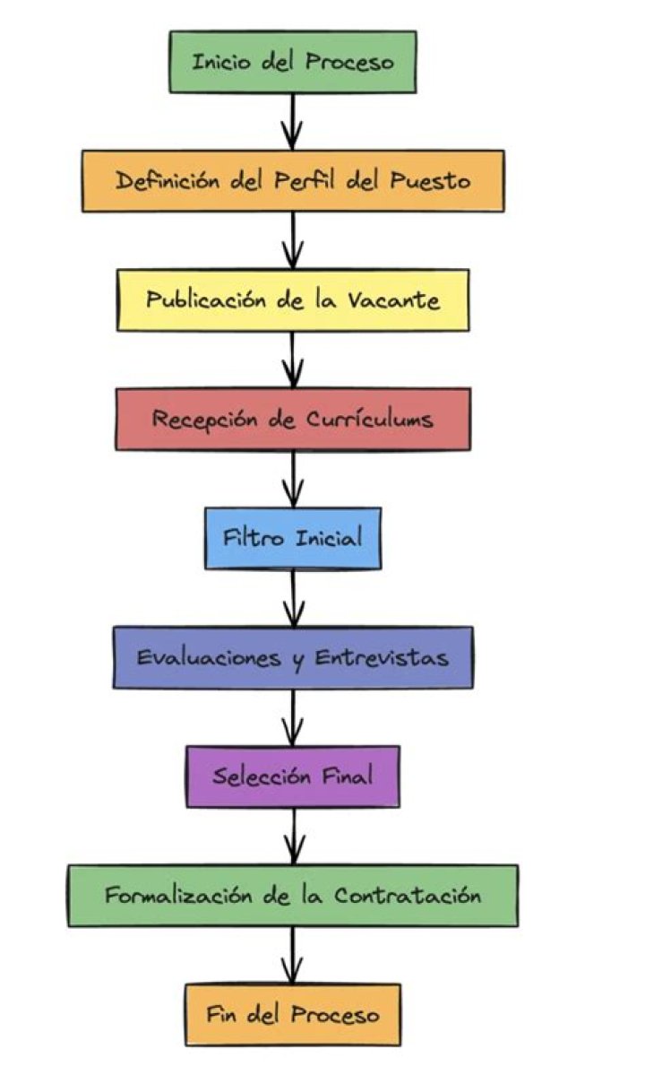 ¿Cuáles son las etapas de un proceso de selección?
