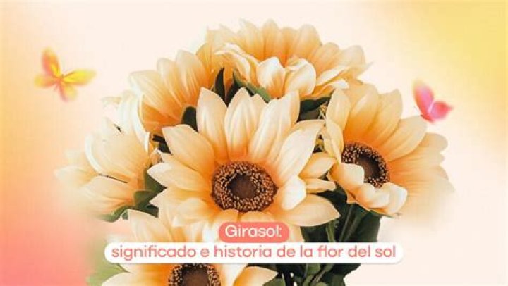 ¿Cuáles son las mejores rosas del mundo?