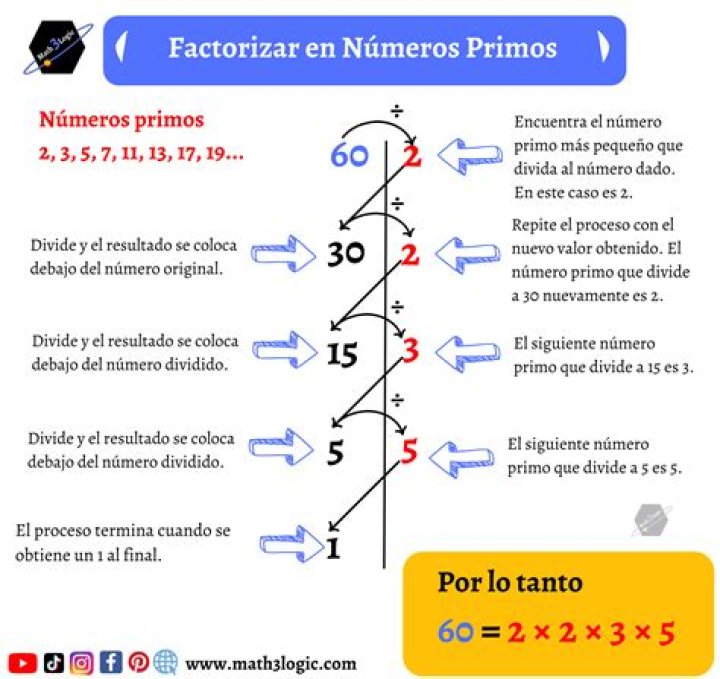 ¿Cuáles son los factores primos de 40?