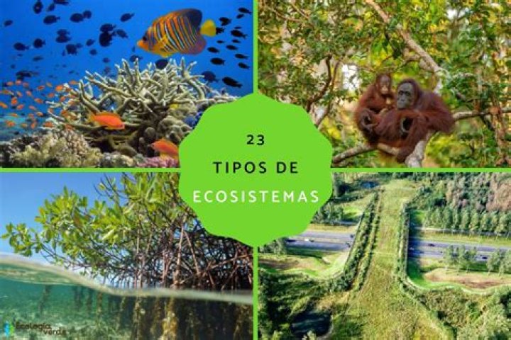 ¿Cuáles son los tipos de pegamentos?