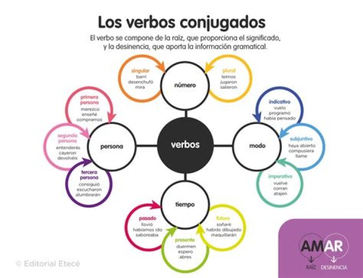 ¿Cuáles son los verbos no conjugados?