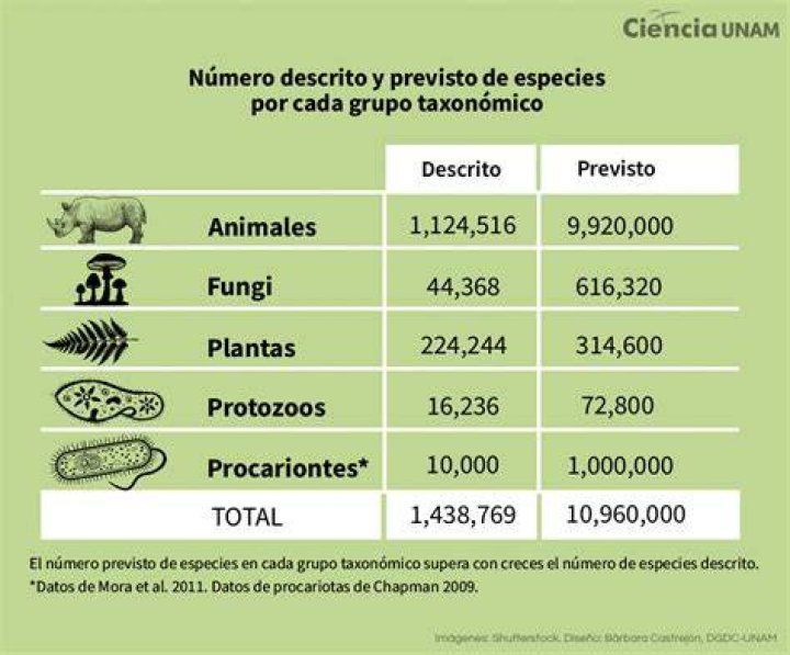 ¿Cuántas nuevas especies se descubrieron en Colombia?