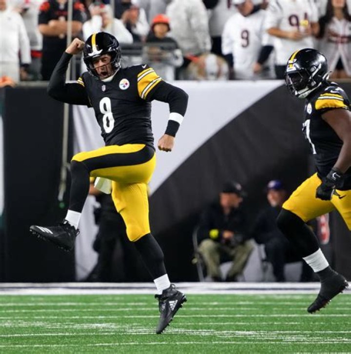 Did the Pittsburgh Steelers sign a running back?