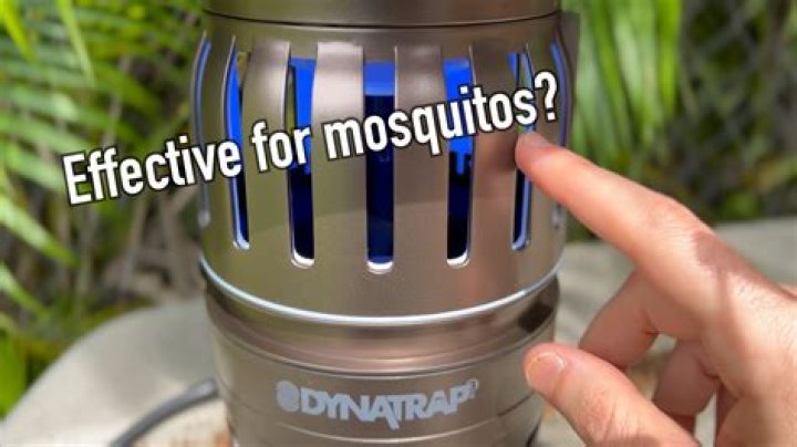 Do CO2 mosquito traps work?