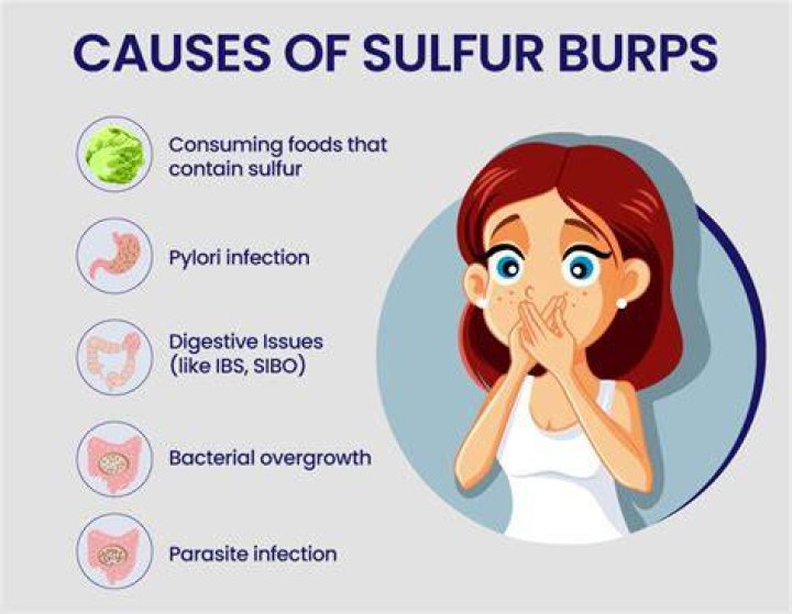 Do humans need to burp?