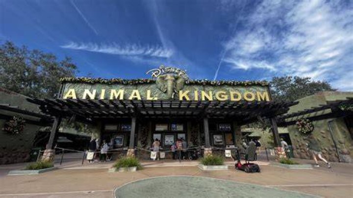 Do I need a full day at Animal Kingdom?