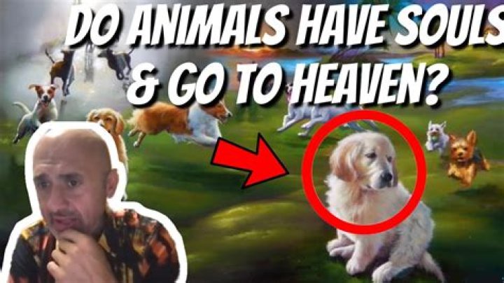 Do Mormons believe that animals have souls?