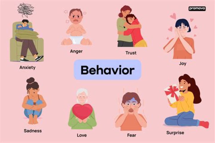 Do not let the behavior of others meaning?