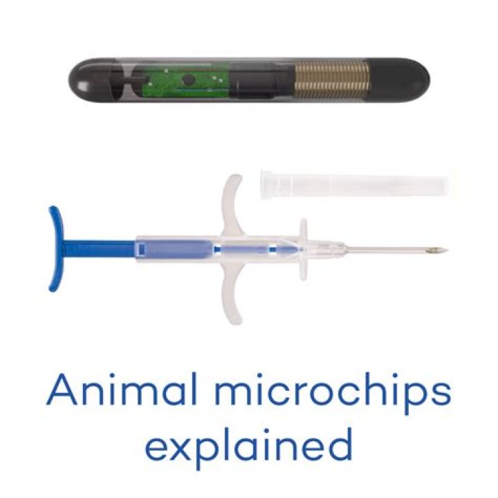 Do pet microchips expire?