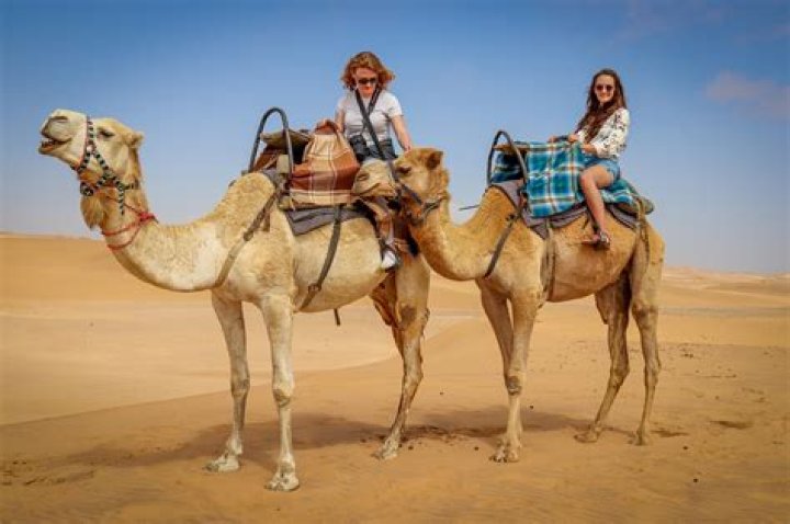 Do they ride camels in Turkey?