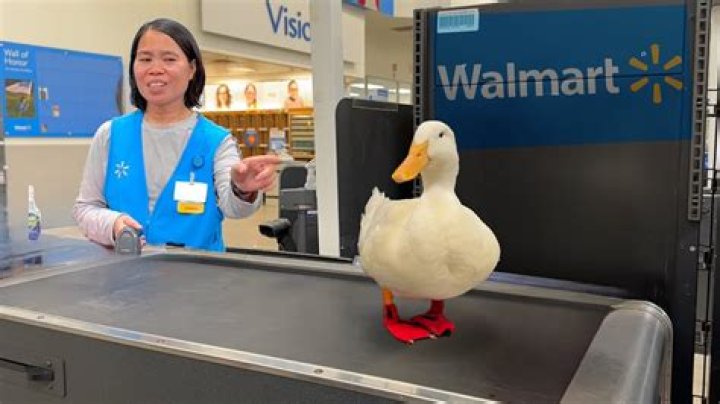 Do they sell duck at Walmart?