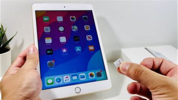 Does an iPad have a graphics card?