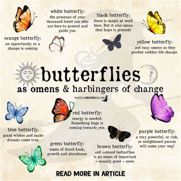 Does Bindi mean butterfly?