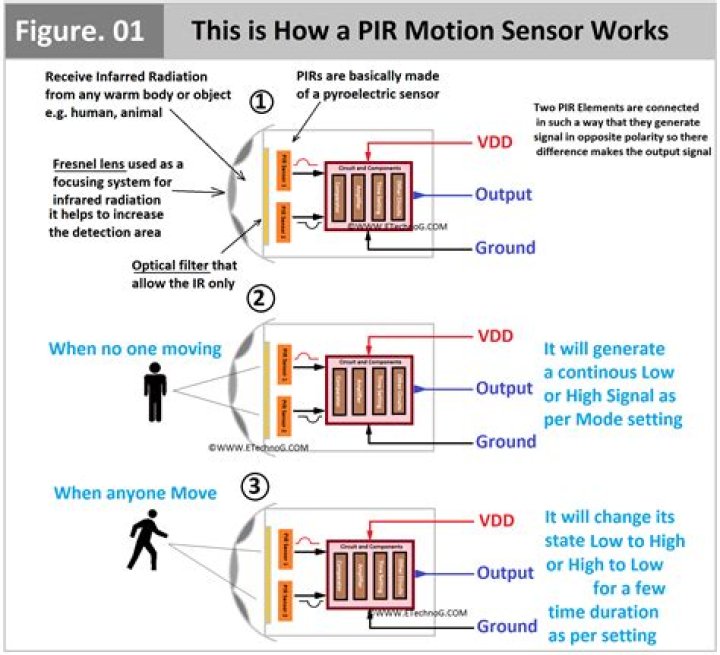Does GoPro have a motion sensor?