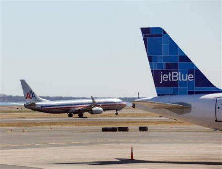 Does JetBlue allow pets in cargo?