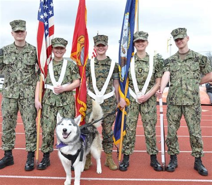 Does KU have Navy ROTC?