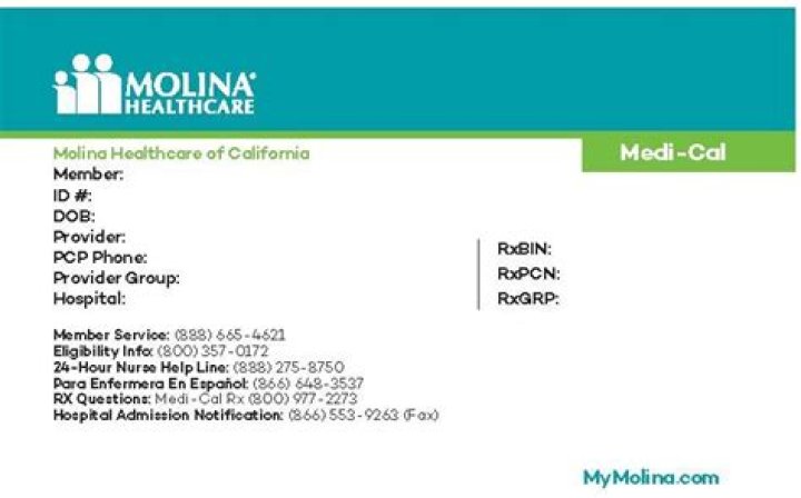 Does Molina Apple Health Cover vision?
