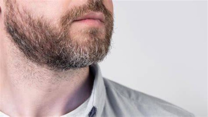 Does pulling beard hair grow back?
