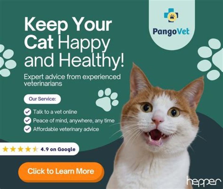 Does Sam's Club have cat food?
