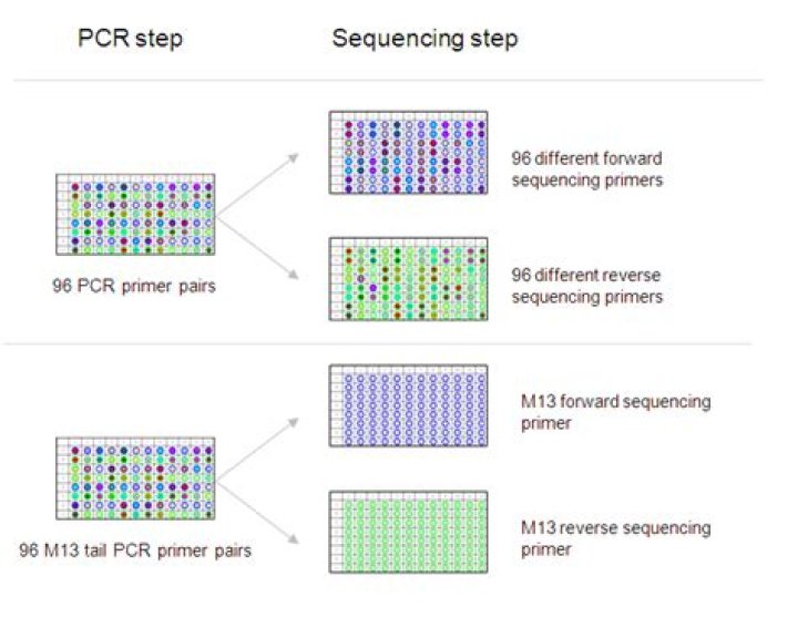Does Sanger sequencing use PCR?