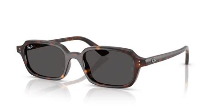 Does Sunglass Hut own Ray Ban?