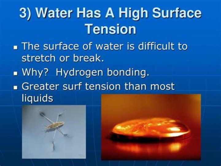 Does water have a high surface tension?
