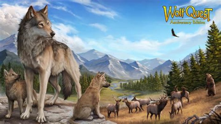 Does Wolf Quest 3 have multiplayer?