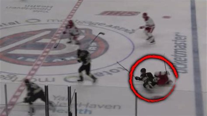 Has anyone died from playing hockey?