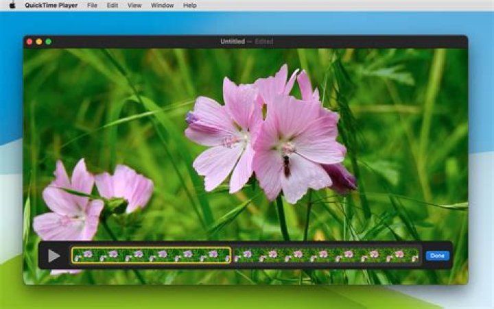 How can I make QuickTime videos faster?