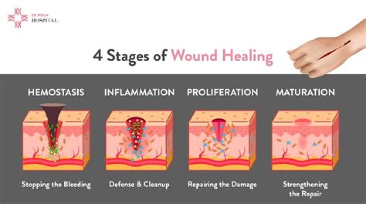 How can I regrow my skin?