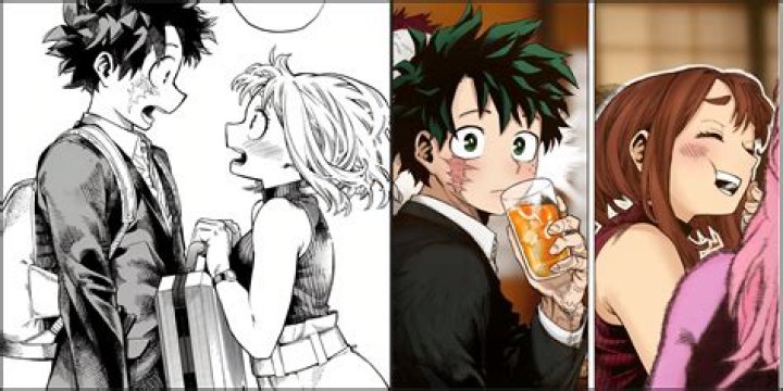 How did Koichi get his stand?