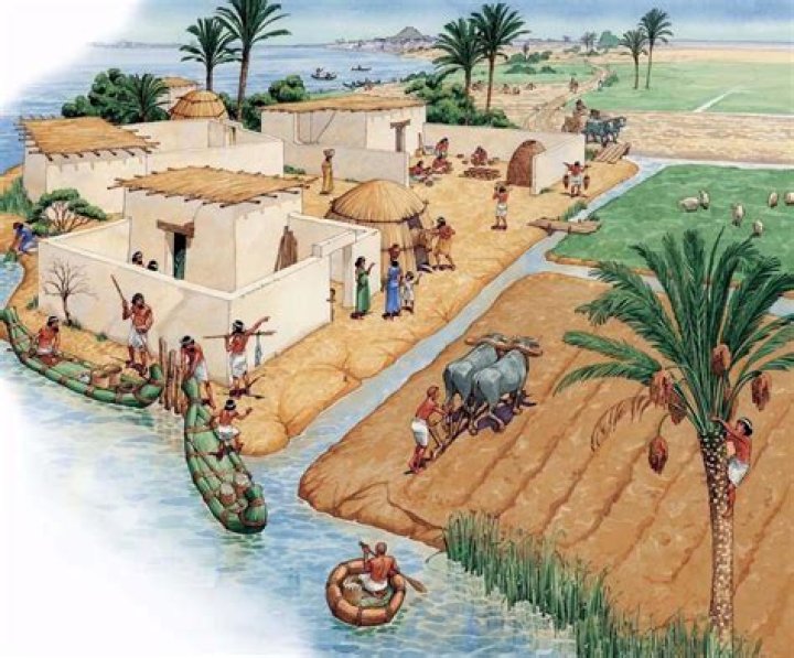How did Mesopotamians irrigate?