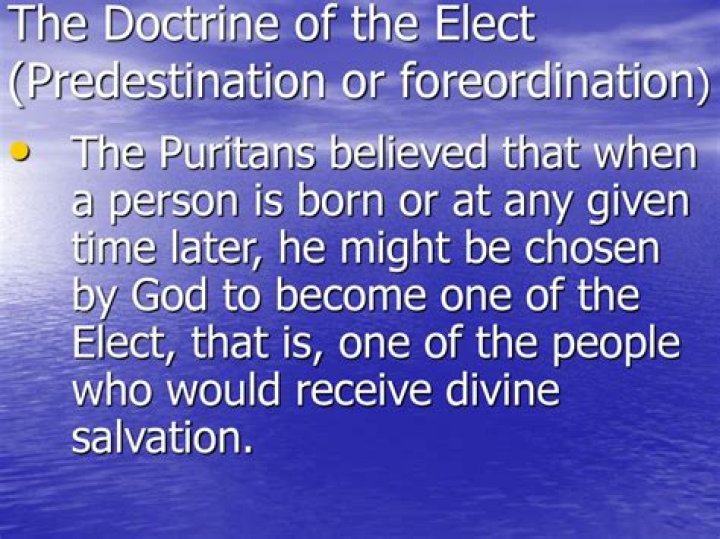 How did predestination affect the Puritans?