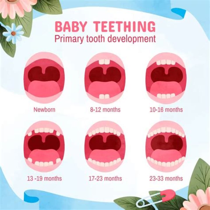 How do babies eat with no teeth?