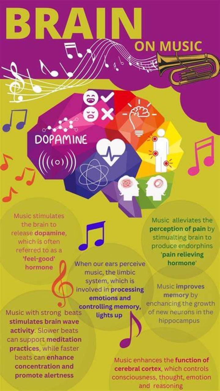 How do different genres of music affect the brain?