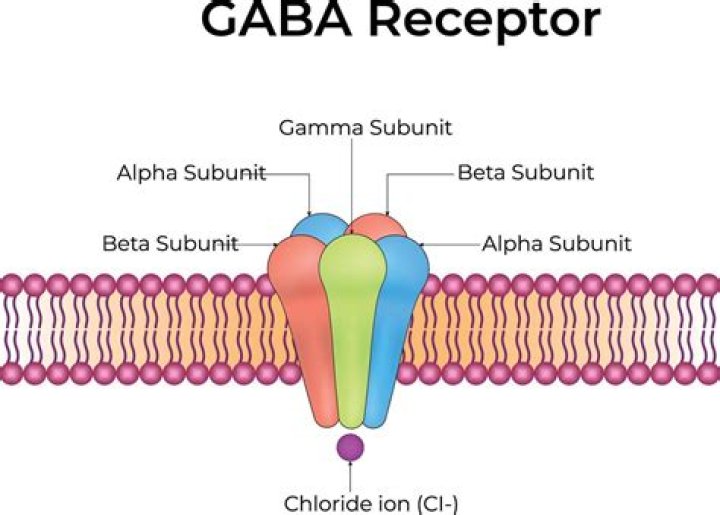 How do GABA drugs work?
