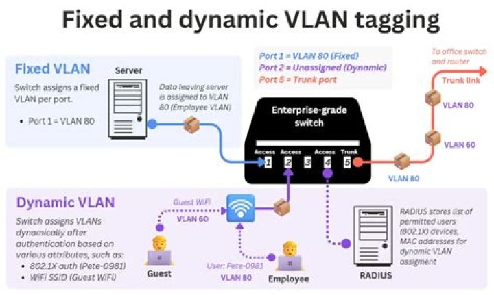 How do I assign a port to a VLAN on an HP switch?