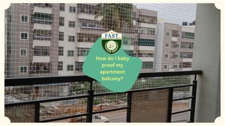 How do I baby proof my cats House?