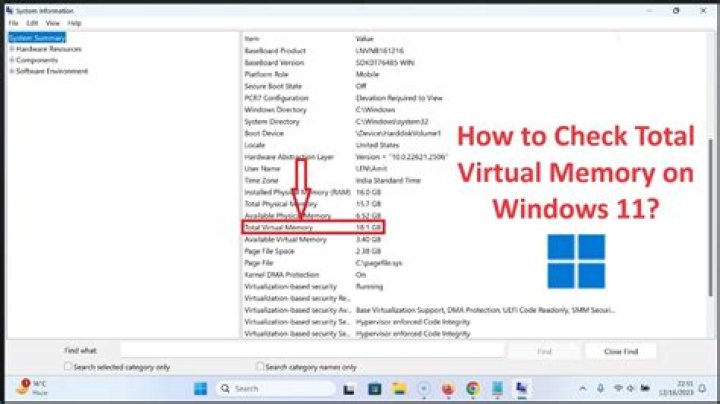 How do I check memory usage on Windows?