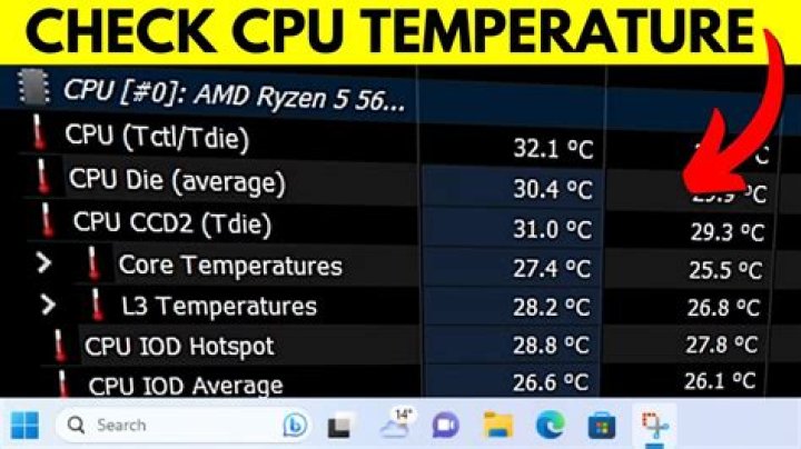 How do I check my CPU stress test?