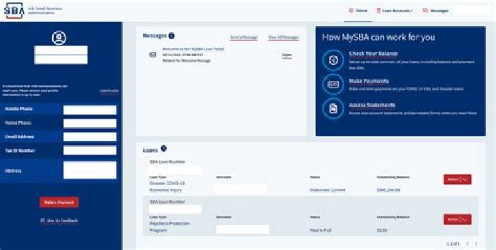 How do I check my SBA EIDL loan status?