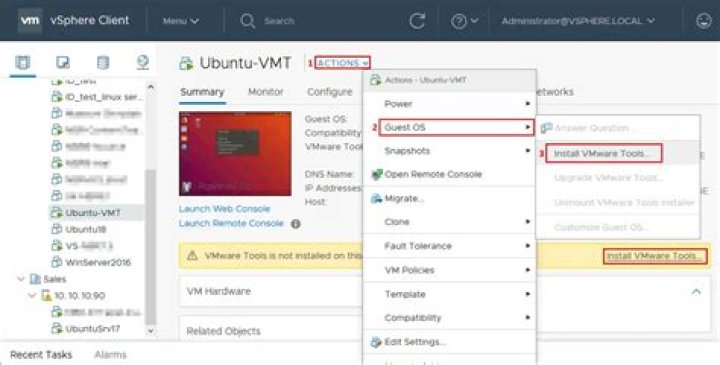 How do I check open VM tools in Linux?