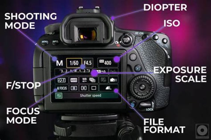 How do I check the memory on my Canon camera?