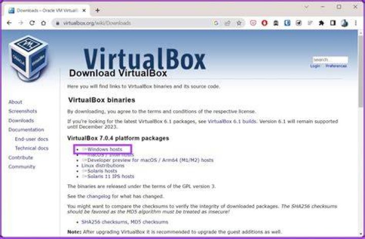 How do I click out of VirtualBox?