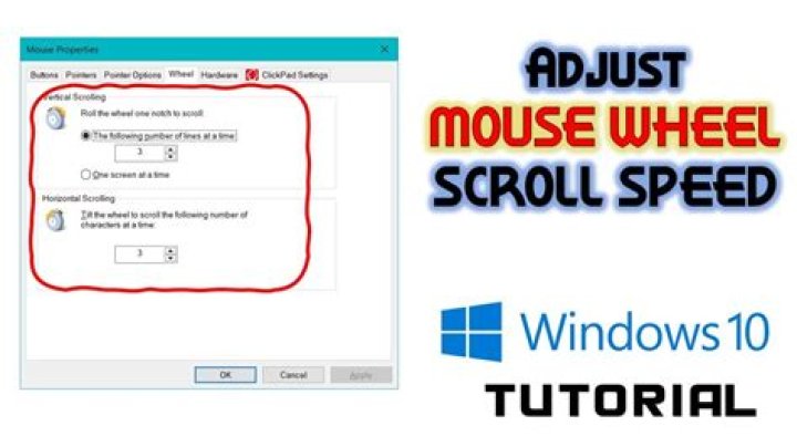 How do I control mouse scroll speed?