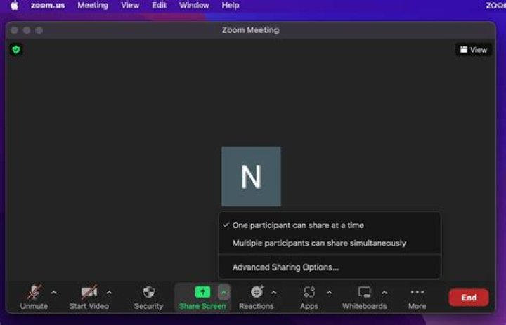 How do I control zoom meeting as a host?
