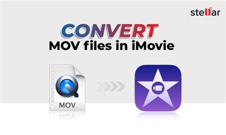 How do I convert a MOV file to AVI?