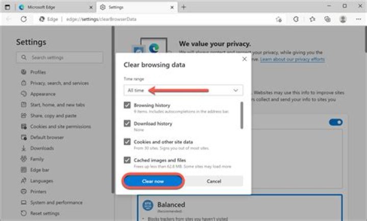 How do I delete cookies on Windows Vista?