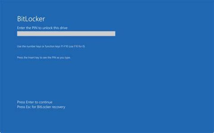 How do I enable BitLocker on my Dell?