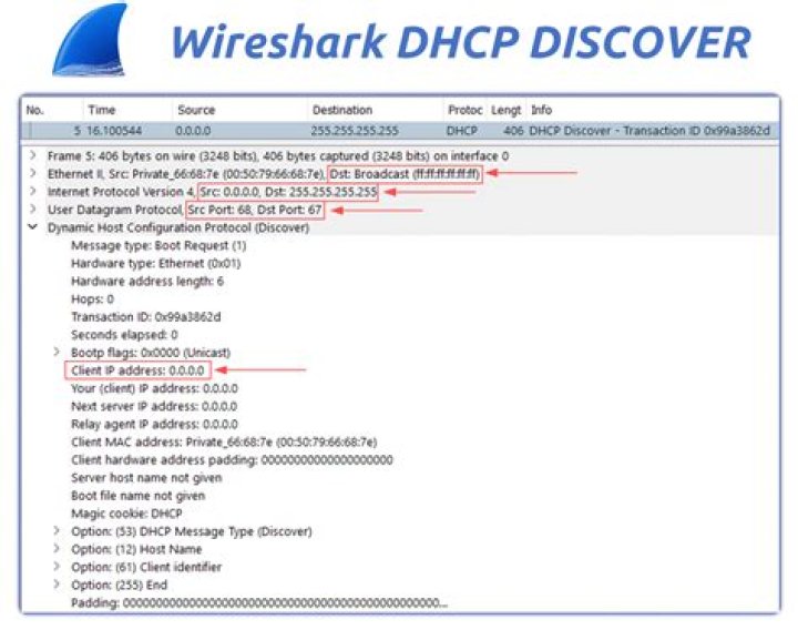 How do I filter DHCP packets in Wireshark?